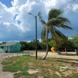 A view of a coastal area featuring a green building, palm trees, and a playground, with the ocean in the background.