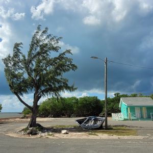 A scenic view of a park featuring a lone tree, a small blue building, and a playground area under a cloudy sky.