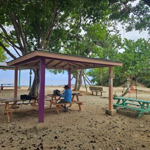 A radio operator is seated at a picnic table under a shelter surrounded by trees, with the ocean visible in the background.
