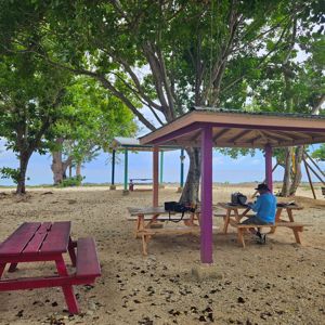 A tranquil park setting with shaded picnic tables near the beach, featuring lush trees and a clear view of the water.
