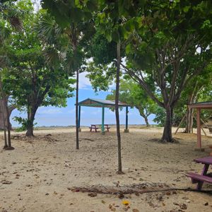 A serene beach park with a covered gazebo, surrounded by trees and a sandy area.