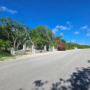 Entrance to a garden with lush greenery and flowers on a sunny day.