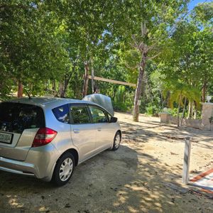 A silver car parked in a green, wooded area with sunlight filtering through trees.