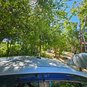 A view of a car's roof with an antenna and surrounding greenery, suggesting a POTA activation site.