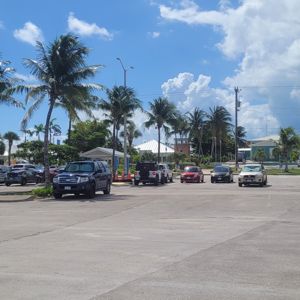A parking lot with palm trees and vehicles under a clear blue sky.