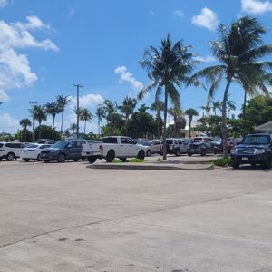 A parking lot with various vehicles and palm trees under a clear blue sky.