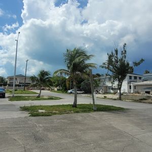 A parking area with several cars, palm trees, and a residential area under a partly cloudy sky.