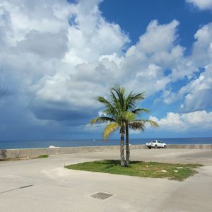 A coastal view with palm trees under partly cloudy skies. A vehicle is parked nearby.