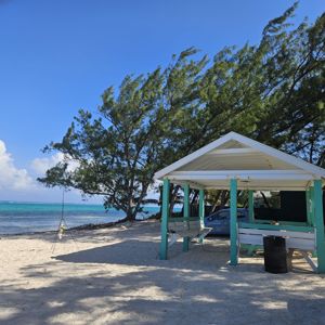 A beachside gazebo with trees swaying in the wind and clear blue waters in the background.