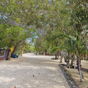 A sandy path lined with trees and colorful benches in a park-like setting.