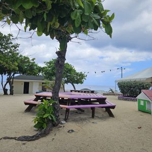 A view of a picnic area with purple benches, trees, and a nearby tent by the beach.