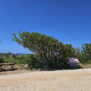 A clear blue sky with sparse trees and a picnic table in a natural setting.