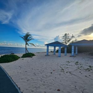 A peaceful beach scene featuring palm trees and pavilions by the water.