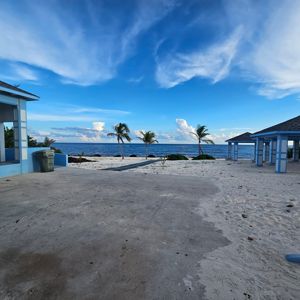 A beach view with palm trees, a clear sky, and a concrete area near the ocean.