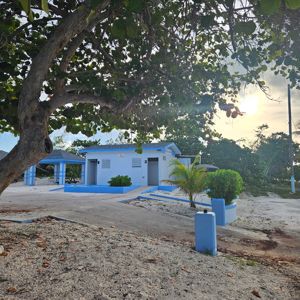A blue building surrounded by greenery with a sandy area in the foreground.