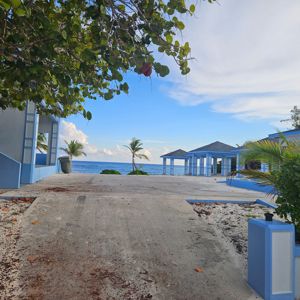 A view of a beach area with palm trees and a blue sky, featuring a paved pathway leading towards the water.