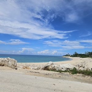 A scenic beach with clear blue waters, sandy shore, and lush greenery in the background under a bright sky.