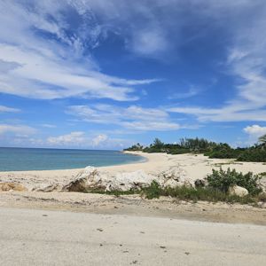 A scenic beach area with clear blue water, sandy shoreline, and some tropical vegetation.