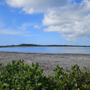 A serene landscape featuring a water body bordered by greenery and a clear blue sky.