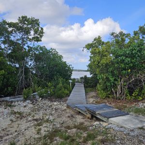 A wooden path leading through lush greenery towards a body of water under a partly cloudy sky.