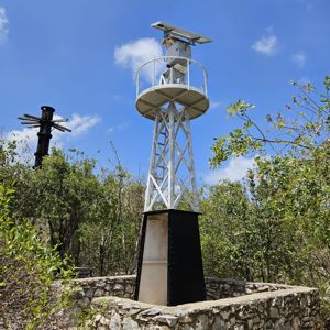 A solar-powered communications tower surrounded by vegetation under a clear blue sky.