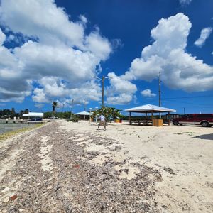 A beachside park area with a person setting up equipment near a picnic shelter, featuring sandy ground and scattered vegetation.