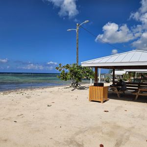 A beach scene with a picnic area, clear blue sky, and ocean waves in the background.
