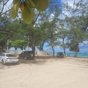 A view of a sandy area with parked cars surrounded by trees and a glimpse of the ocean in the background.
