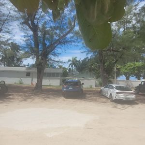 A view of parked vehicles under trees with a beach visible in the distance.