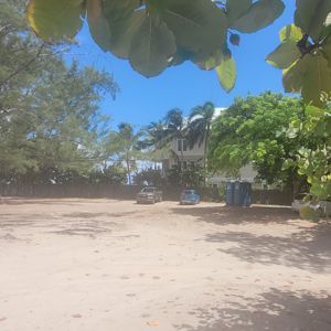 An open area with sandy ground and trees, likely near a beach.