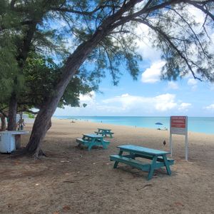 A beach scene featuring a sandy area with turquoise water, picnic tables under trees, and a warning sign about swimming.
