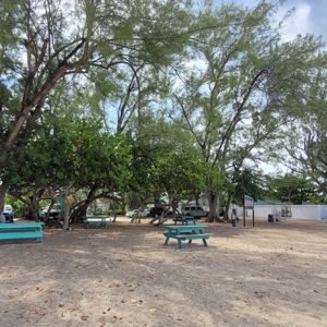 A scenic area with sandy ground, shade from trees, and benches, ideal for relaxation.