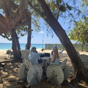 Operators are set up at a beachside location under trees, with a radio station and a picturesque view of the ocean.