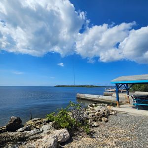 A coastal view featuring a clear blue sky, water, and a shaded area with a picnic table.