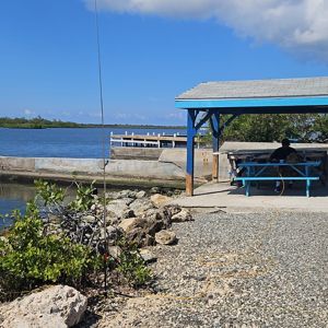 A radio operator working under a blue gazebo by the water, with a rocky shoreline and greenery in the background.