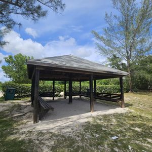 A sheltered gazebo with benches, surrounded by greenery under a blue sky.