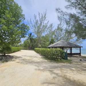 A serene beachside scene with a pathway leading to a gazebo, surrounded by greenery and palm trees.