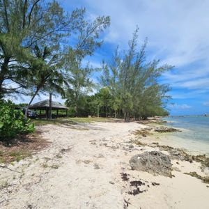 A scenic view of a beach area with trees and a pavilion.