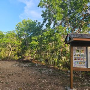 A picnic table surrounded by lush greenery at a Parks on the Air activation site.