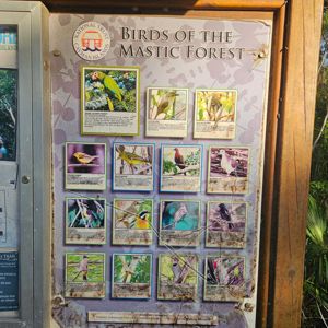 A display board featuring various birds of the Mastic Forest.
