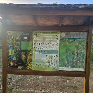 A signboard showcasing the Mastics Trail with information about birds and a trail map.