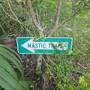 A green trail sign indicating 'Mastic Trail' partially obscured by foliage.