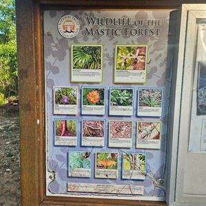 A display board featuring various wildlife of the Mastic Forest, showcasing different plants and their descriptions.