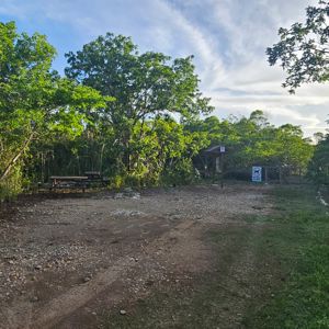 A view of a partially shaded activation site with a picnic table, surrounded by trees and grass.
