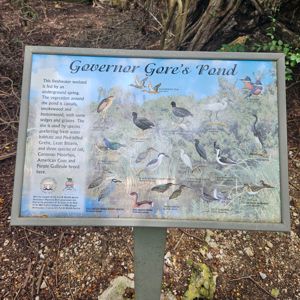 Information sign about Governor Gore's Pond showcasing various bird species.