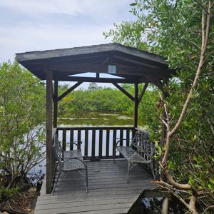 A wooden gazebo with benches overlooking a tranquil waterbody surrounded by lush greenery.