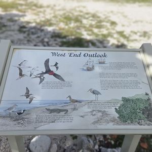 A sign depicting various bird species and historical information at the West End Outlook.